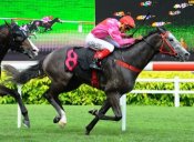 A'Isisuhairi 'Harry' Kasim brings up his third winner for the afternnon aboard Tiger Master.<br>Photo by Singapore Turf Club